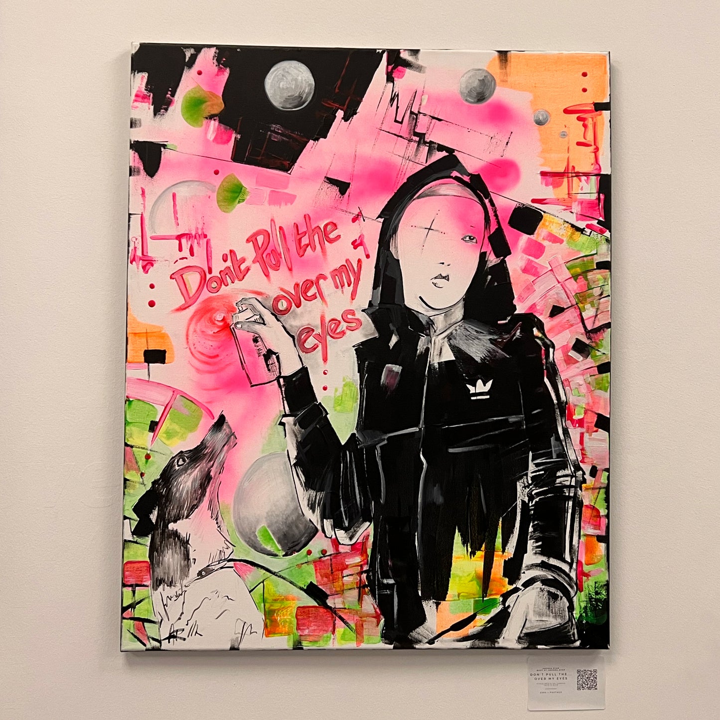 Don't pull the ... over my eyes by Amanda Ryan