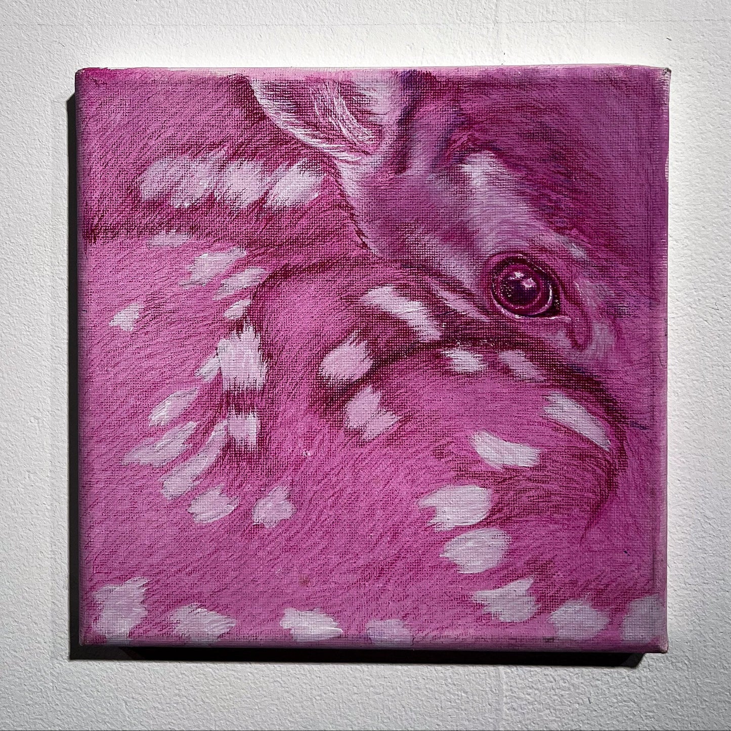 'Hidden' by Melissa Duncan