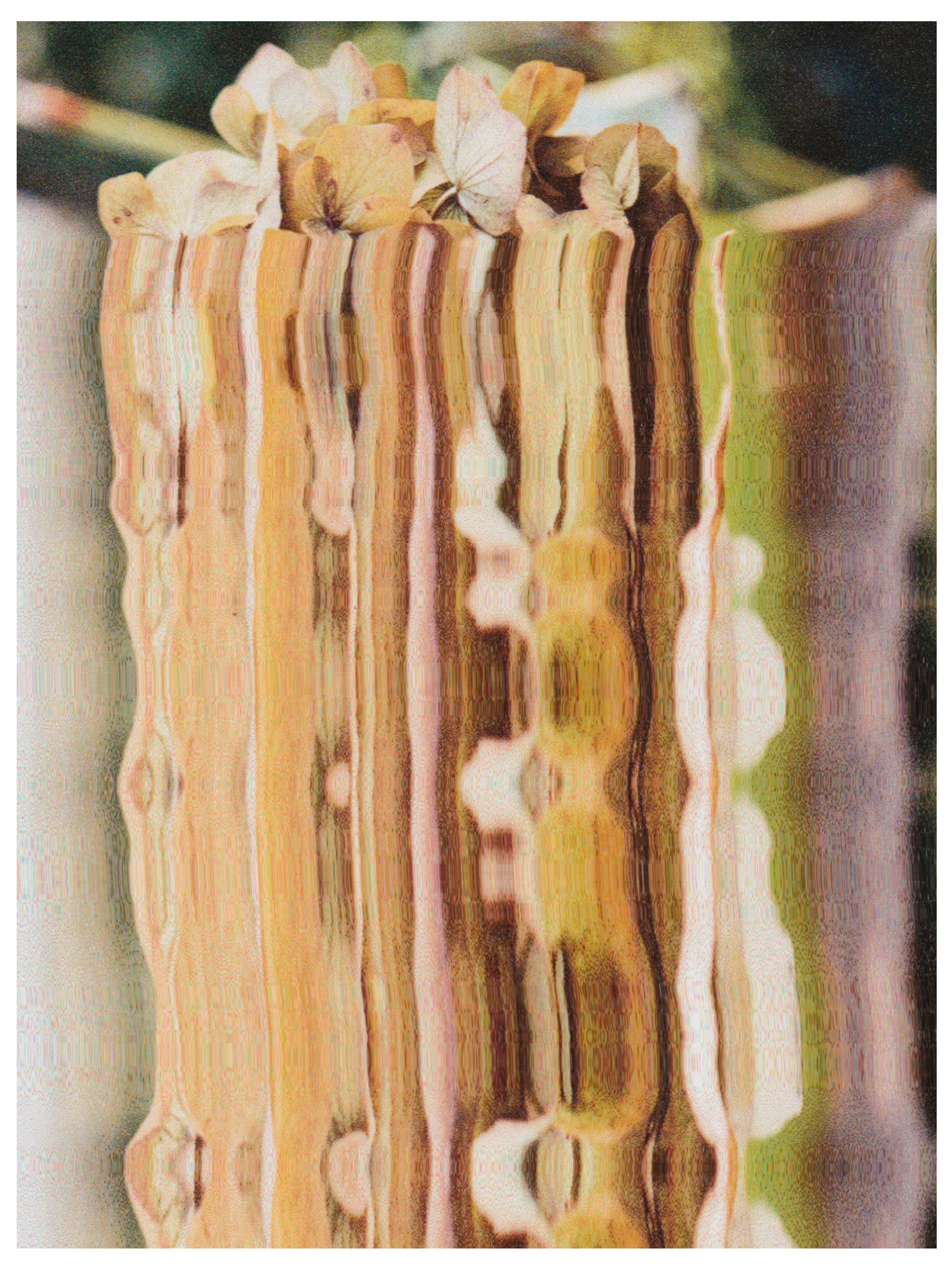 scanography of 35mm flower photographs