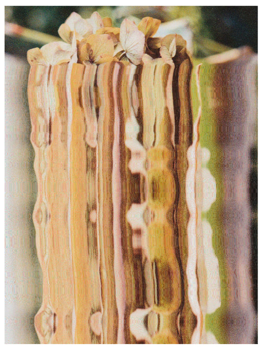 scanography of 35mm flower photographs